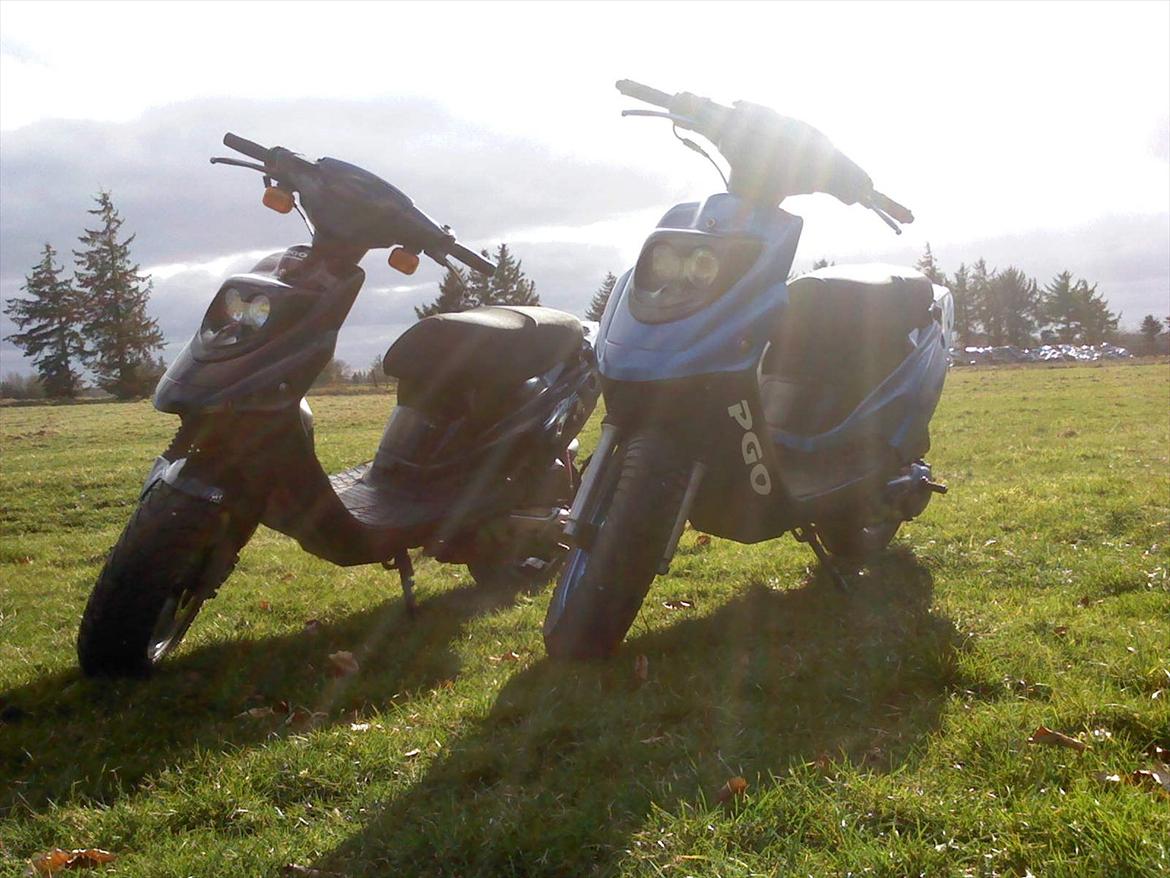 PGO Hot 50 (solgt) billede 11