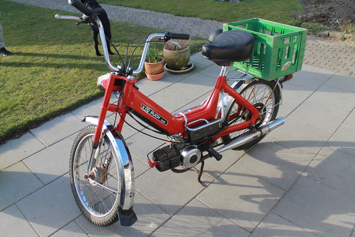 Puch Maxi K E50 billede 5