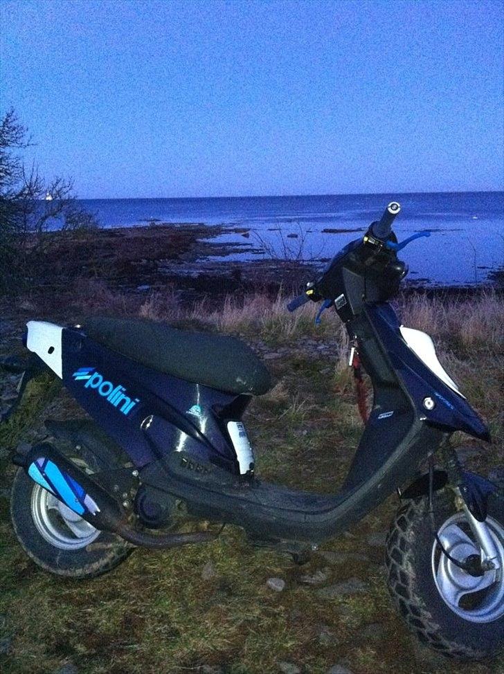 PGO hot 50 billede 3