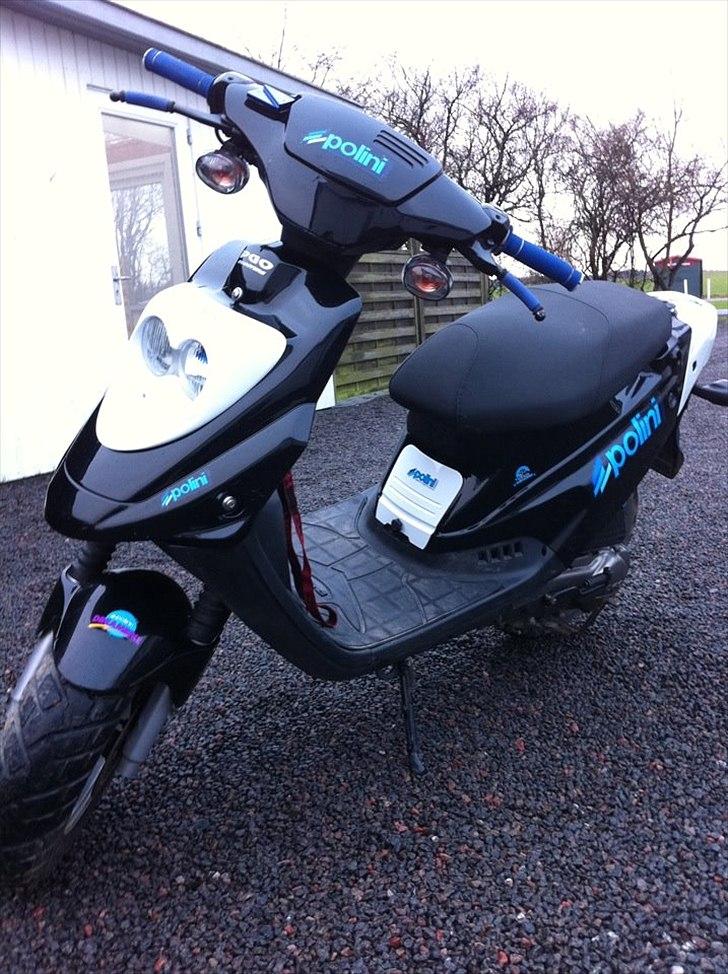 PGO hot 50 billede 1