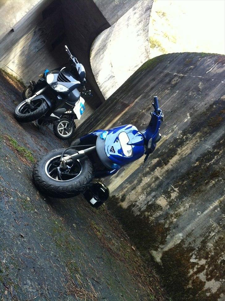 Gilera Stalker (LUCY) - Før. billede 7