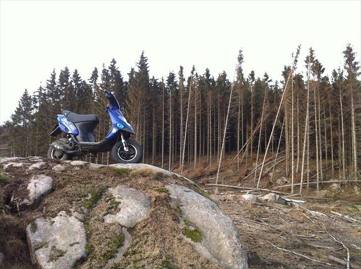 Gilera Stalker (LUCY) - Før. billede 9