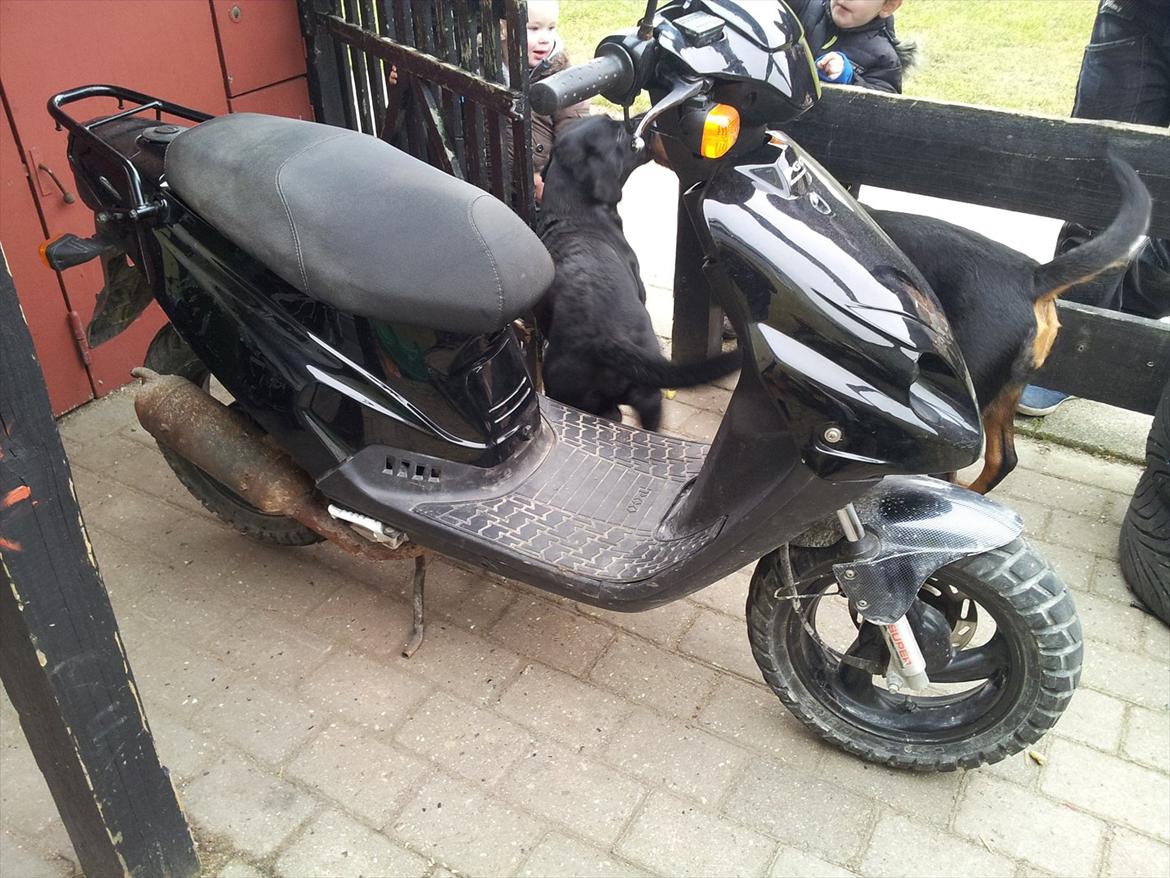 PGO hot 50 (solgt) billede 6