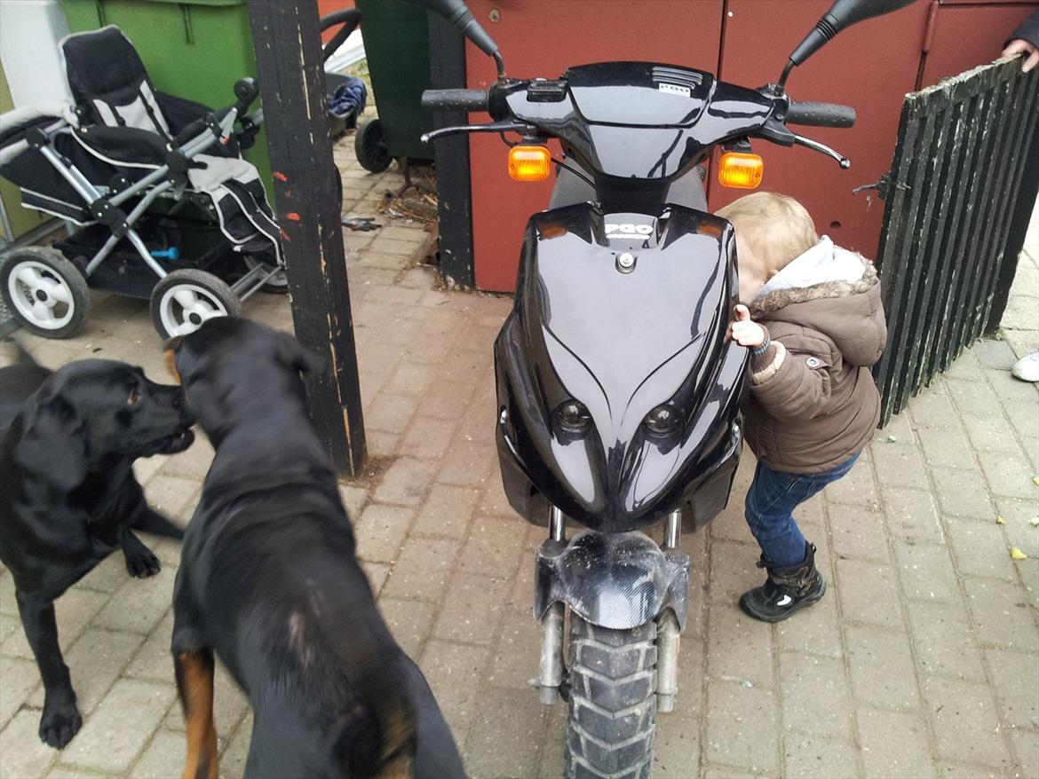 PGO hot 50 (solgt) billede 7