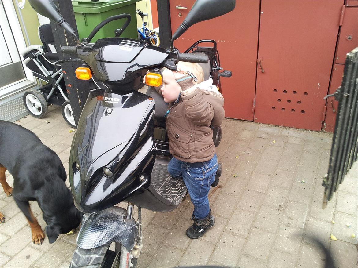 PGO hot 50 (solgt) billede 8