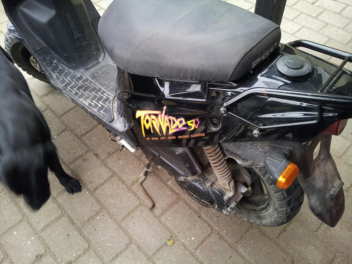 PGO hot 50 (solgt) billede 10