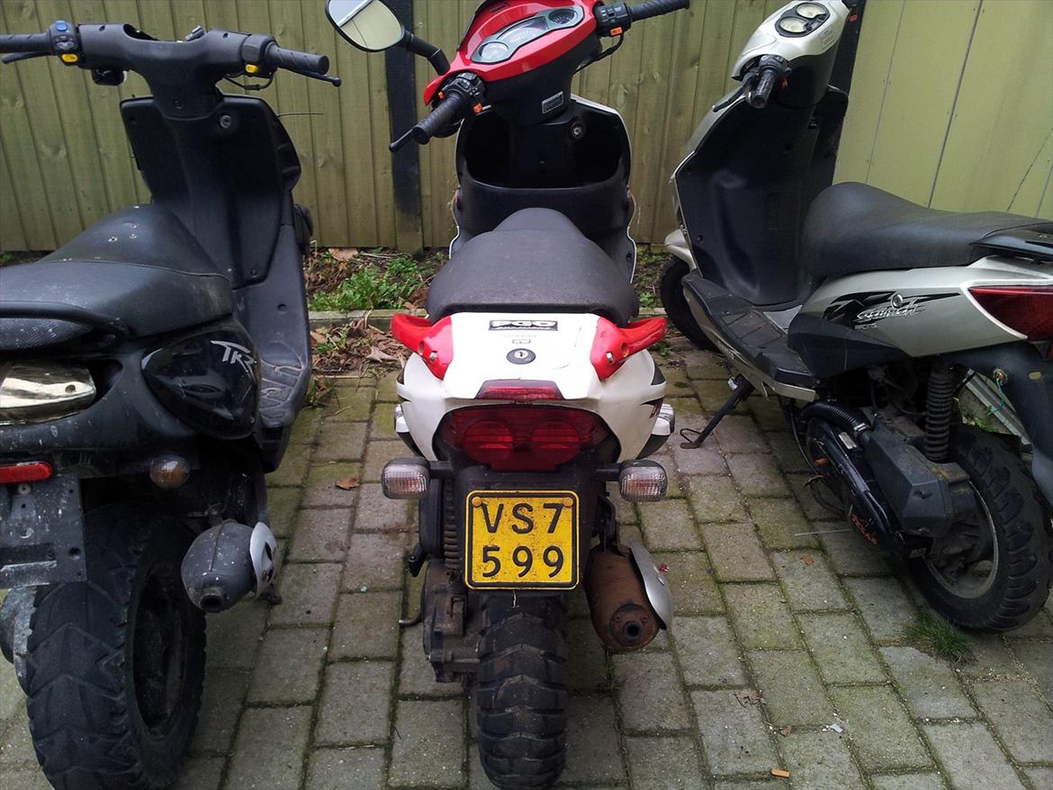 PGO Dr big (solgt) billede 2