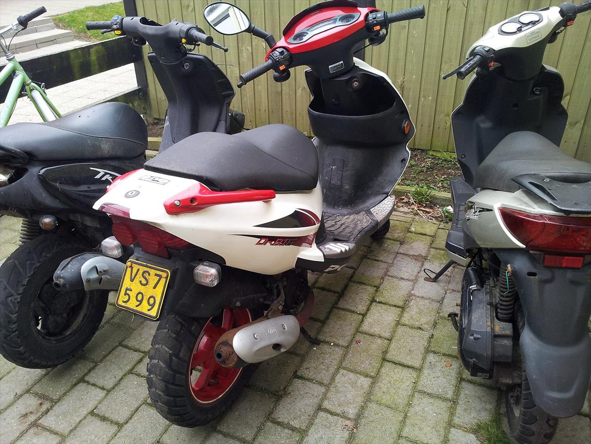 PGO Dr big (solgt) billede 3