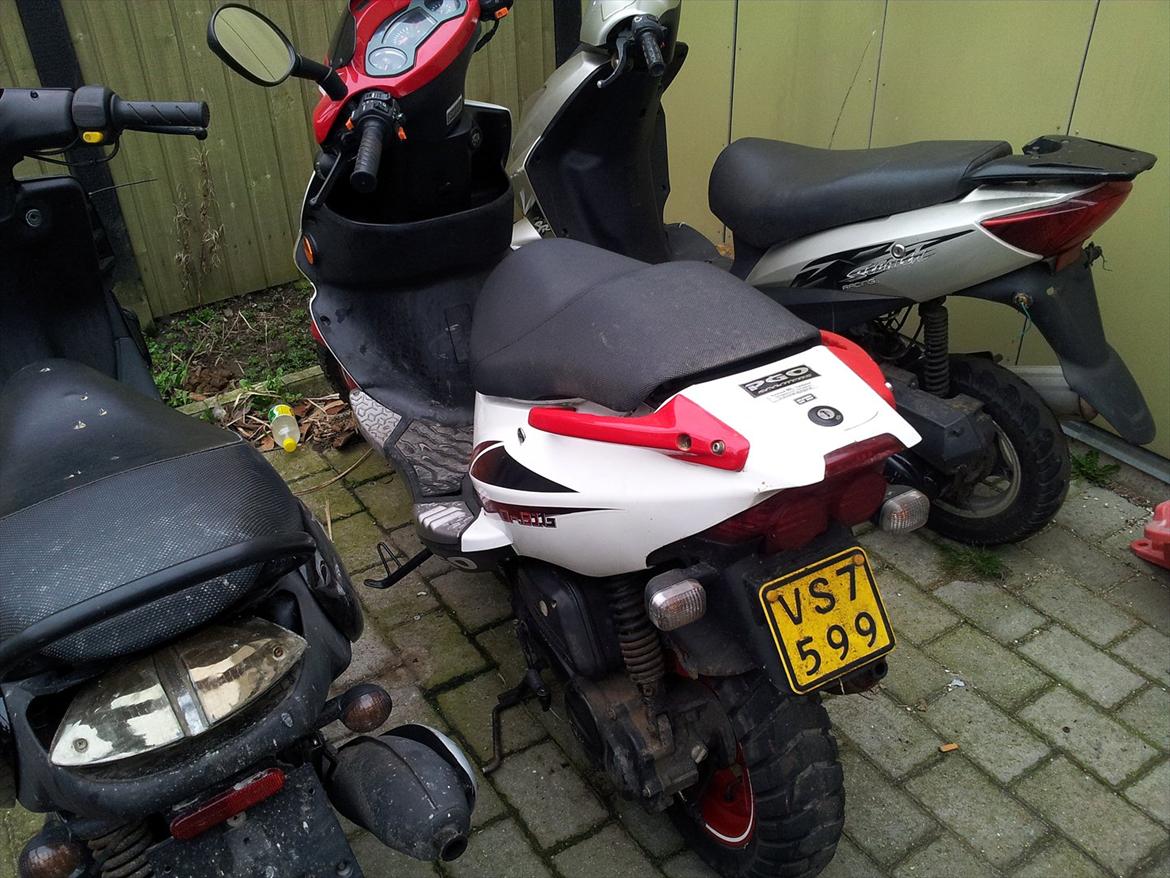 PGO Dr big (solgt) billede 4