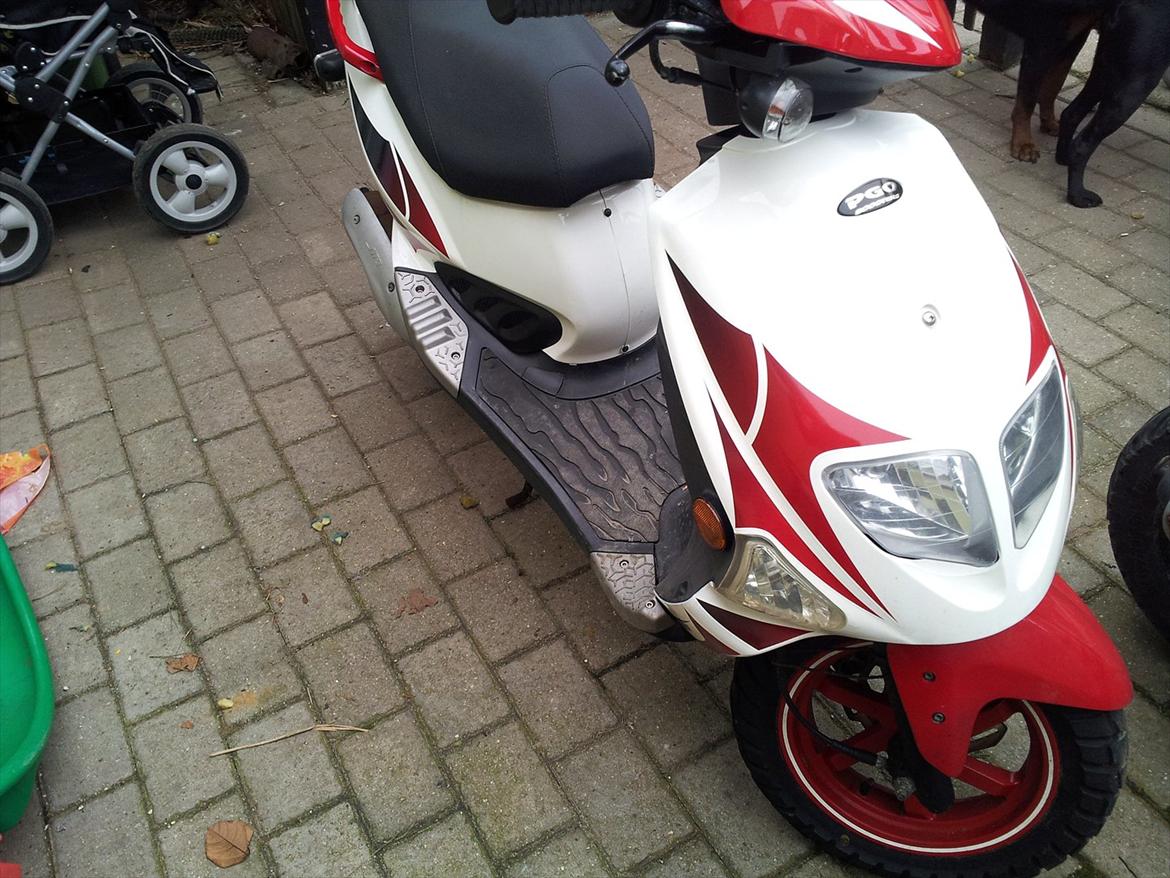PGO Dr big (solgt) billede 13