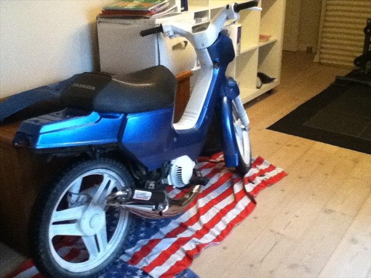 Honda Wallaroo billede 3