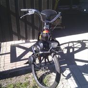 Velo Solex 3800 [ SOLGT ]