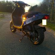 PGO Hot 50 