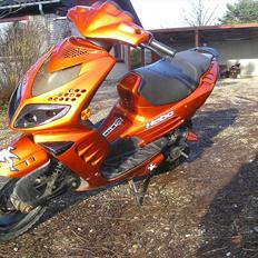 Peugeot speedfihgt 2