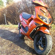 Peugeot speedfihgt 2