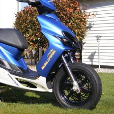 Yamaha Jog RR TS DD 22,89HK