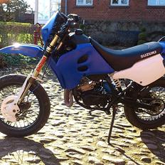 Suzuki kan købet hvis du er intra