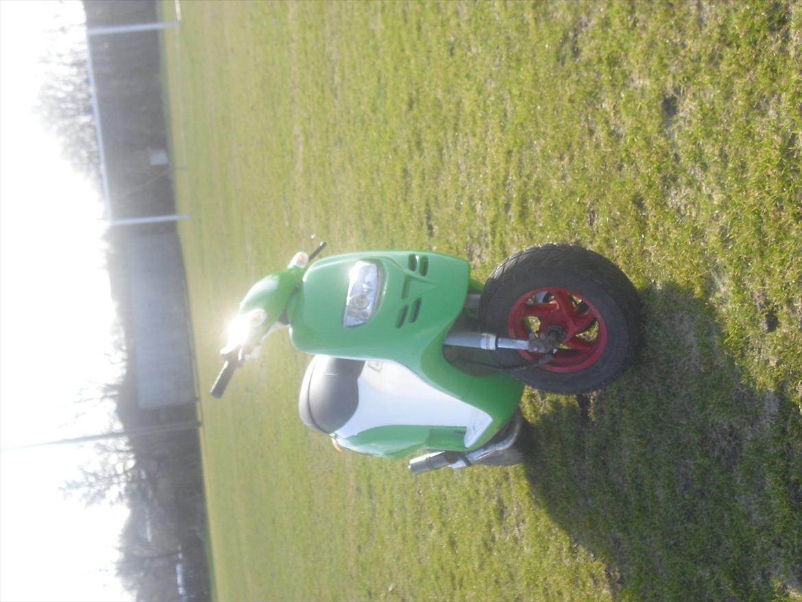 Piaggio Typhoon billede 10