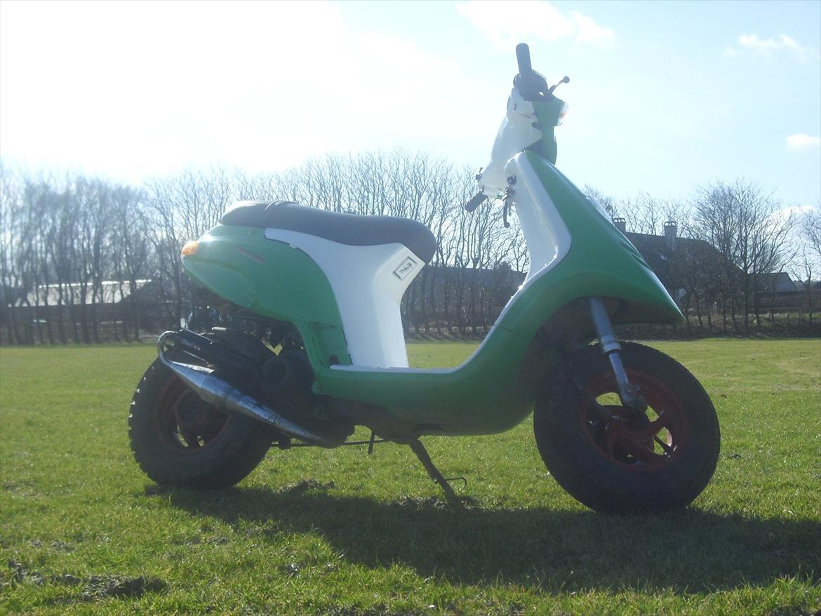 Piaggio Typhoon billede 13