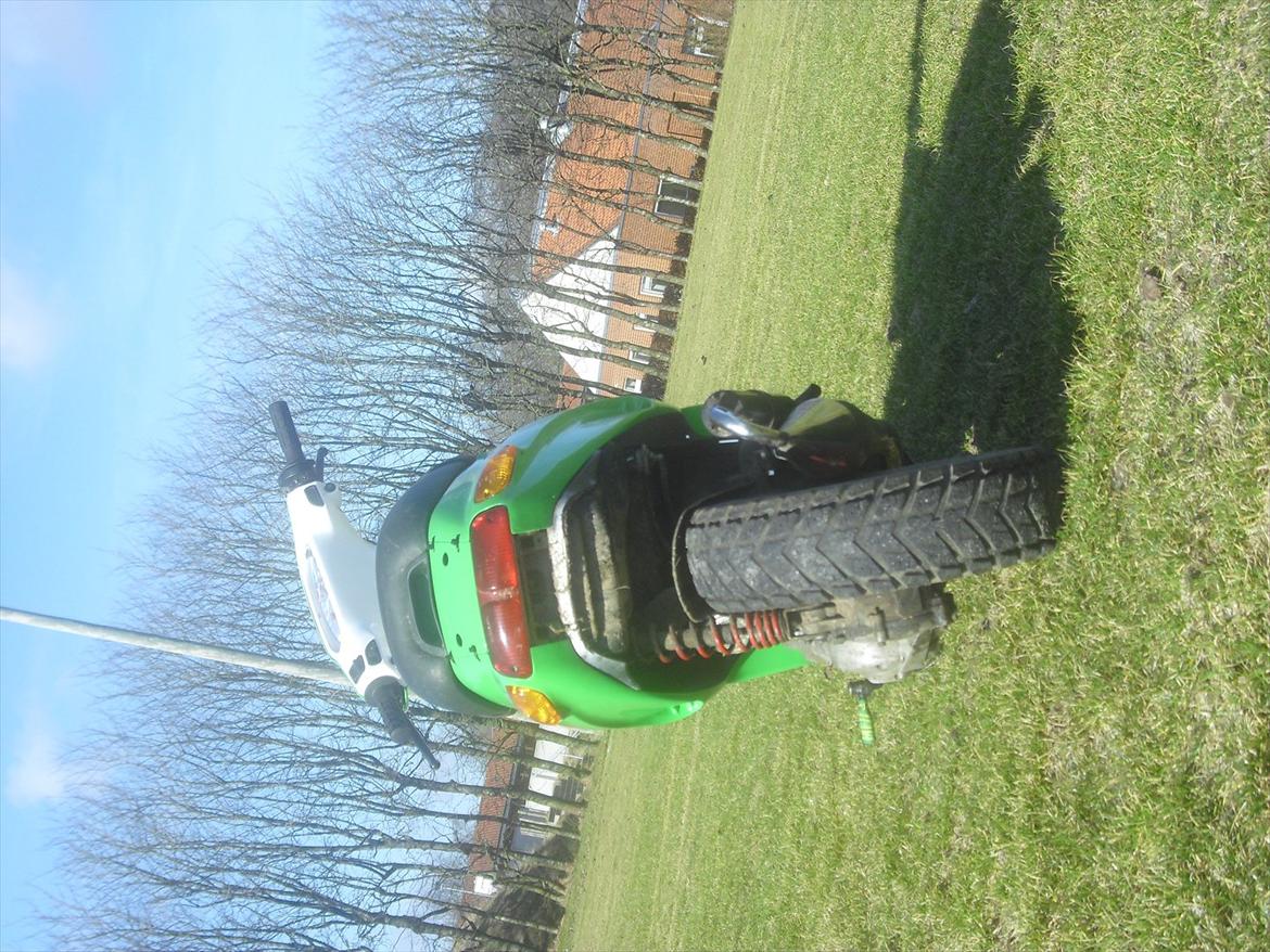 Piaggio Typhoon billede 14