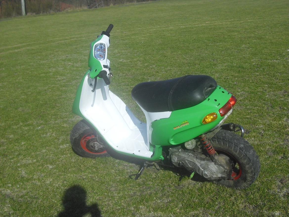 Piaggio Typhoon billede 16