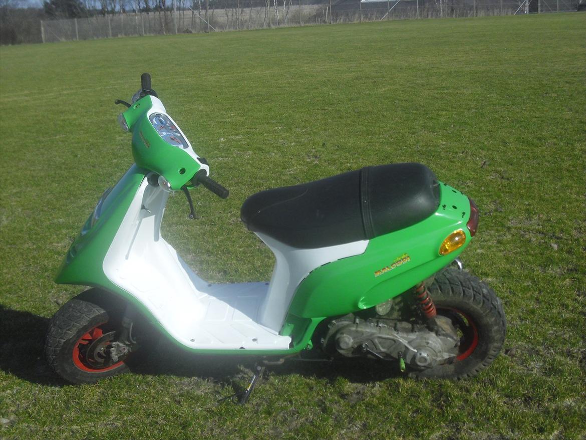 Piaggio Typhoon billede 17