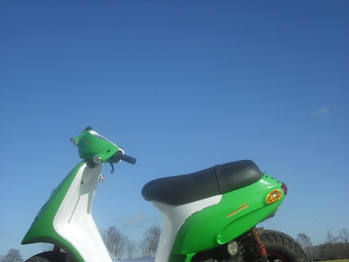 Piaggio Typhoon billede 18