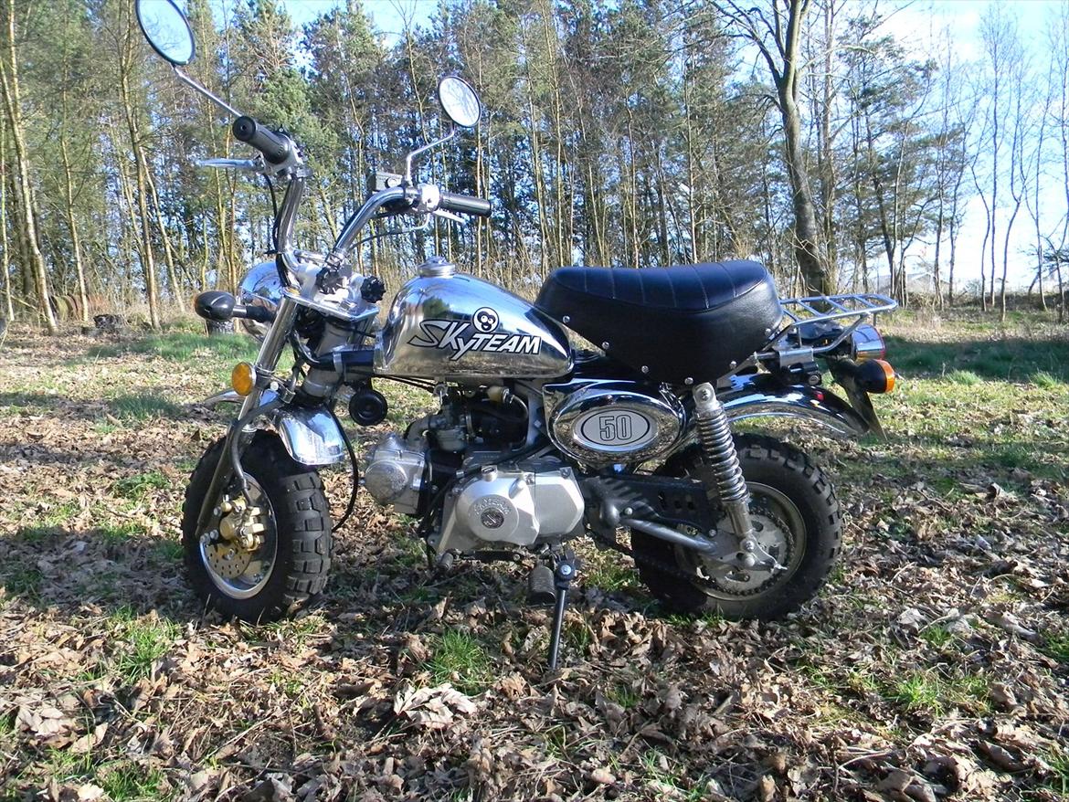 Skyteam Monkey billede 2