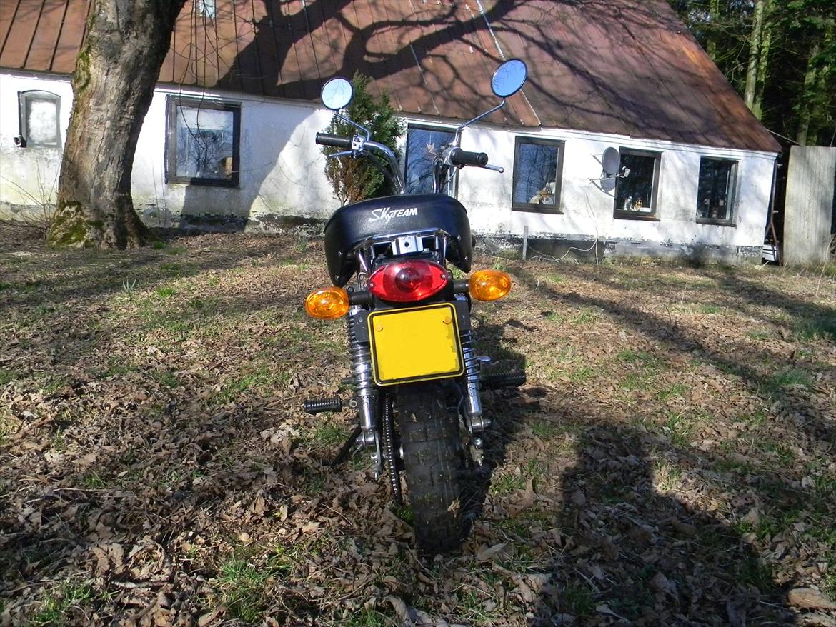 Skyteam Monkey billede 3