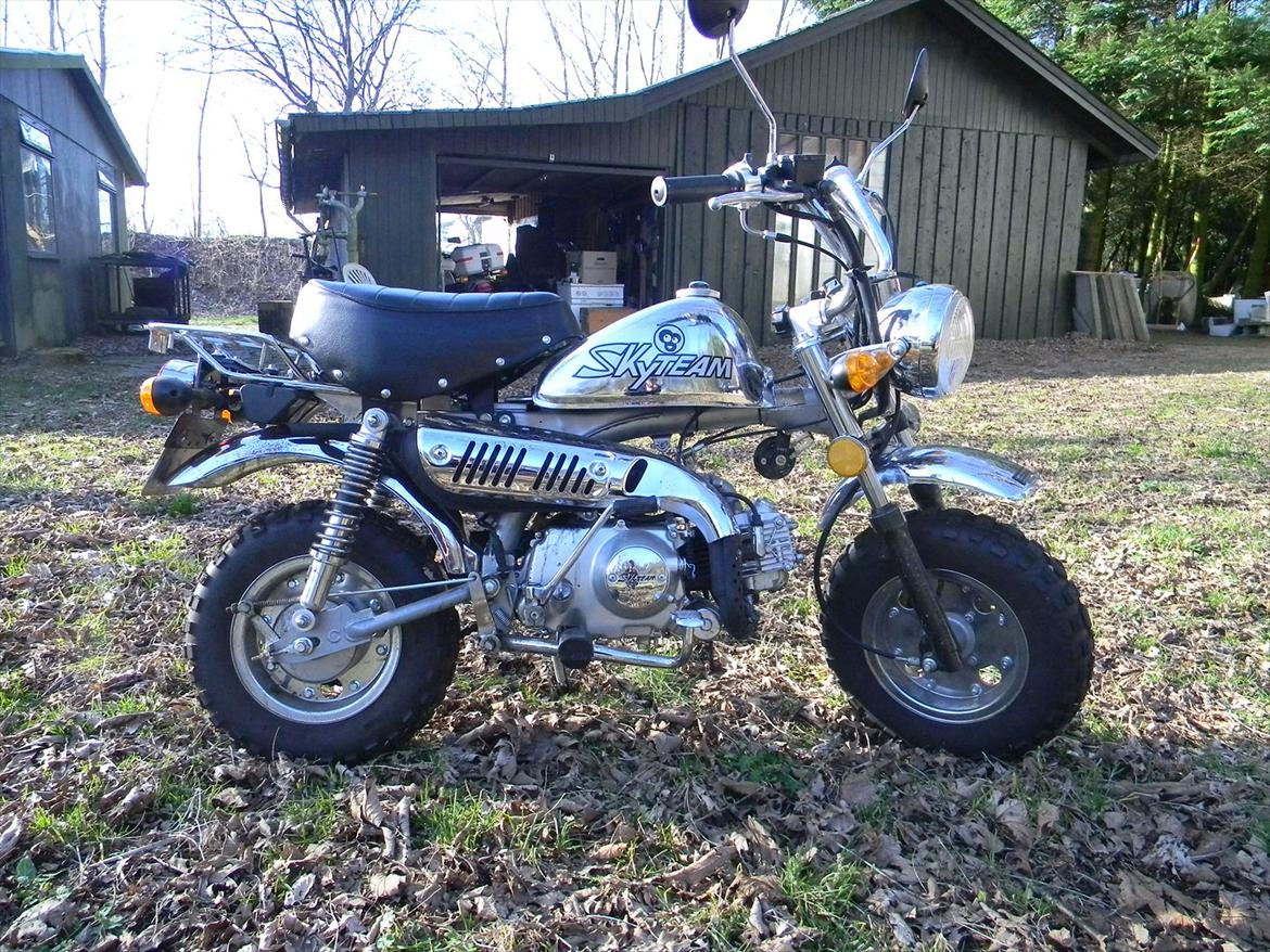 Skyteam Monkey billede 4