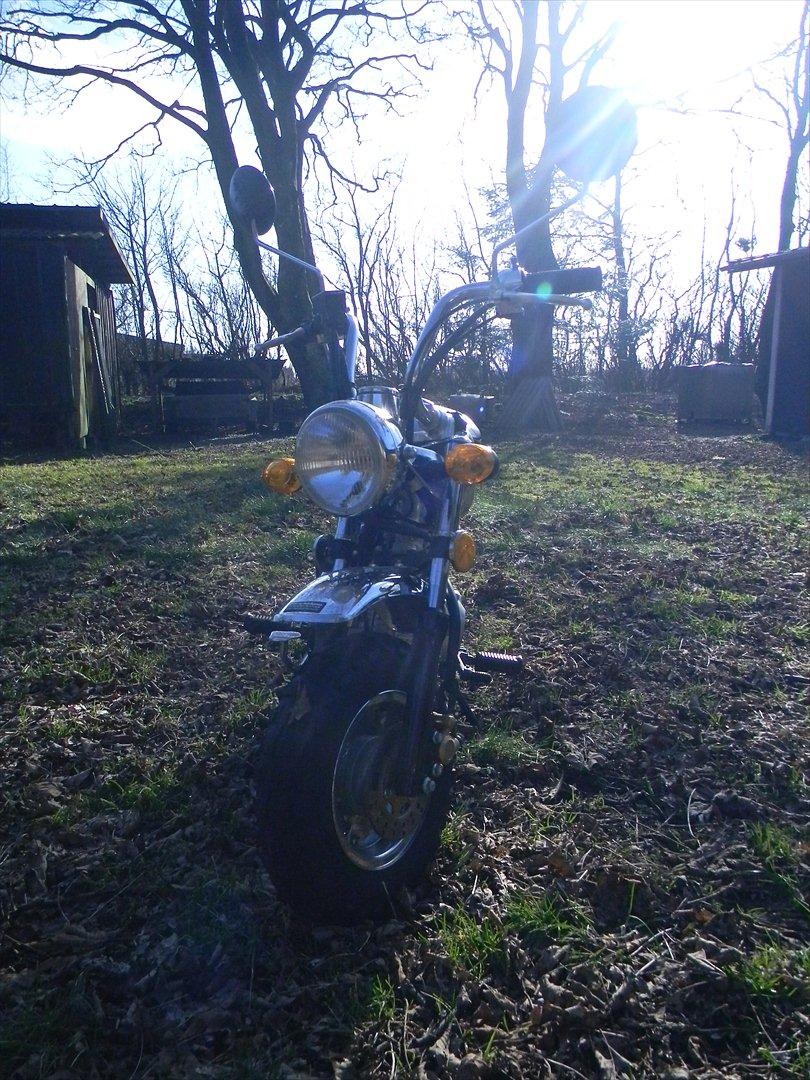 Skyteam Monkey billede 5