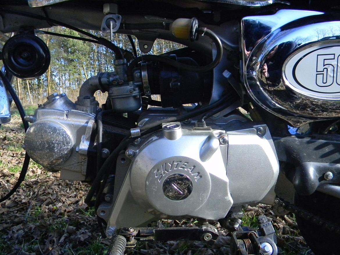 Skyteam Monkey billede 7