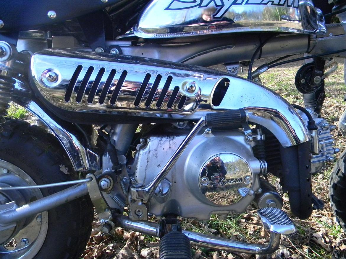 Skyteam Monkey billede 8