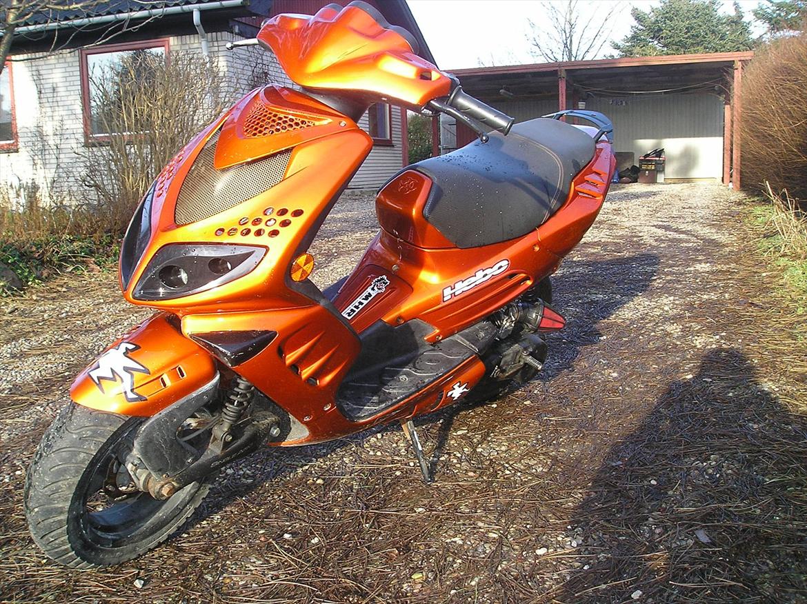 Peugeot speedfihgt 2 billede 1