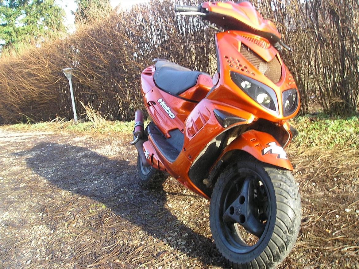 Peugeot speedfihgt 2 billede 2