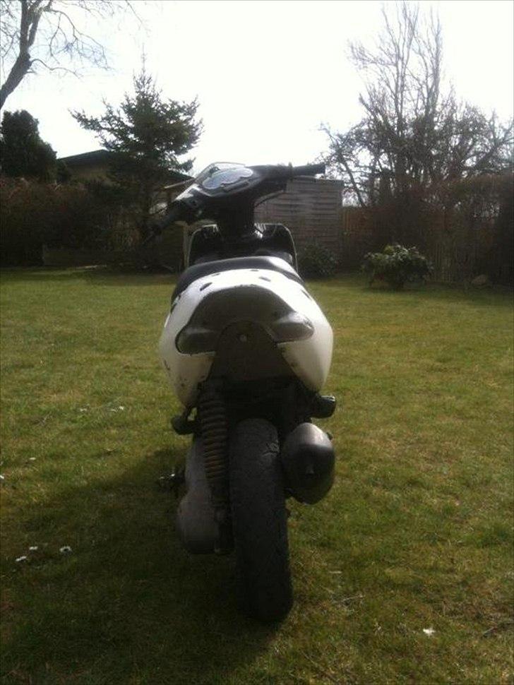 Aprilia Sonic billede 8