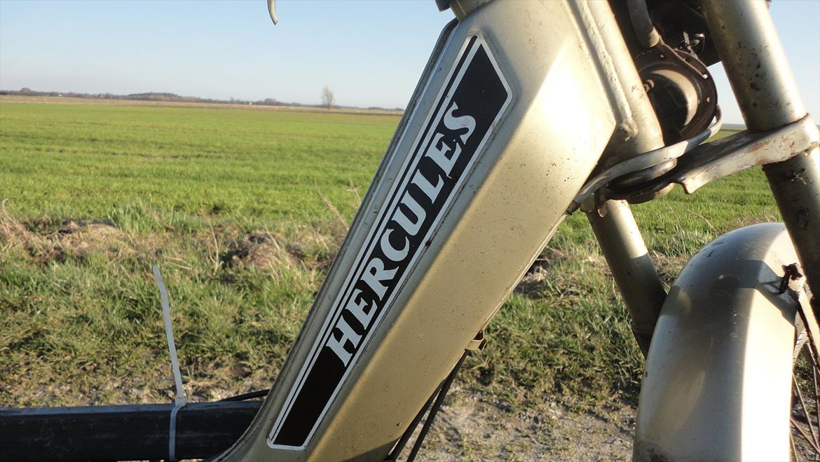 Sachs Hercules M1 billede 7