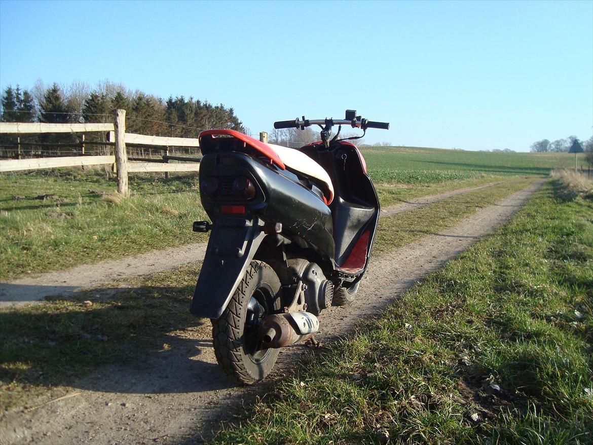 Honda Sfx billede 2