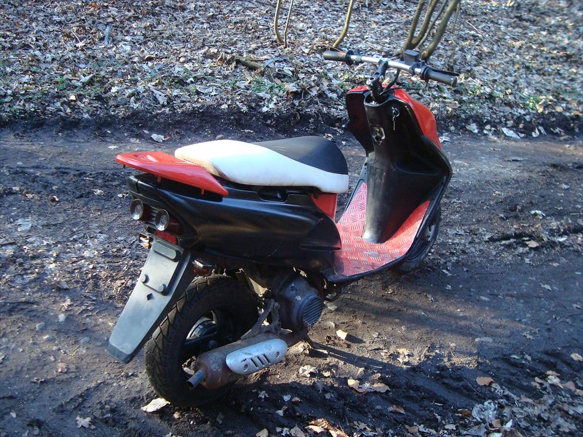 Honda Sfx billede 7