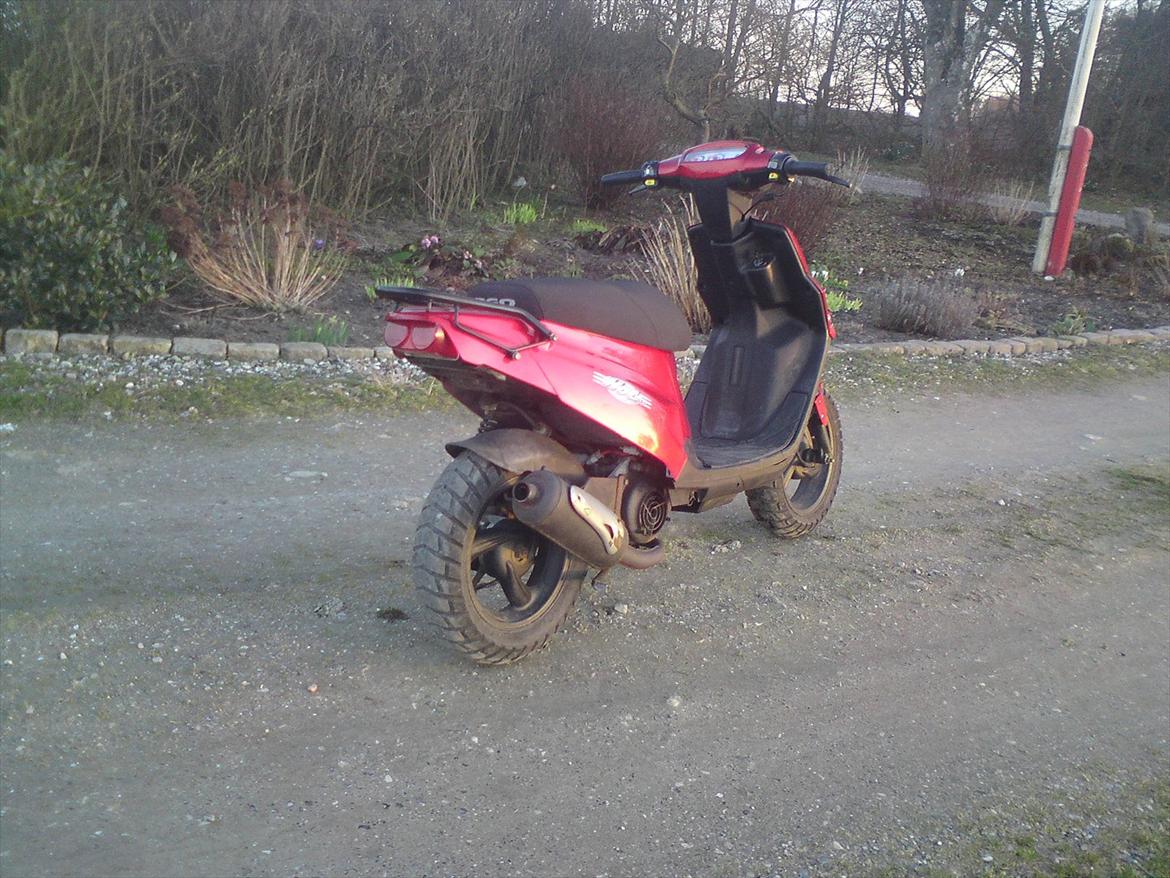 PGO hot 50 billede 6