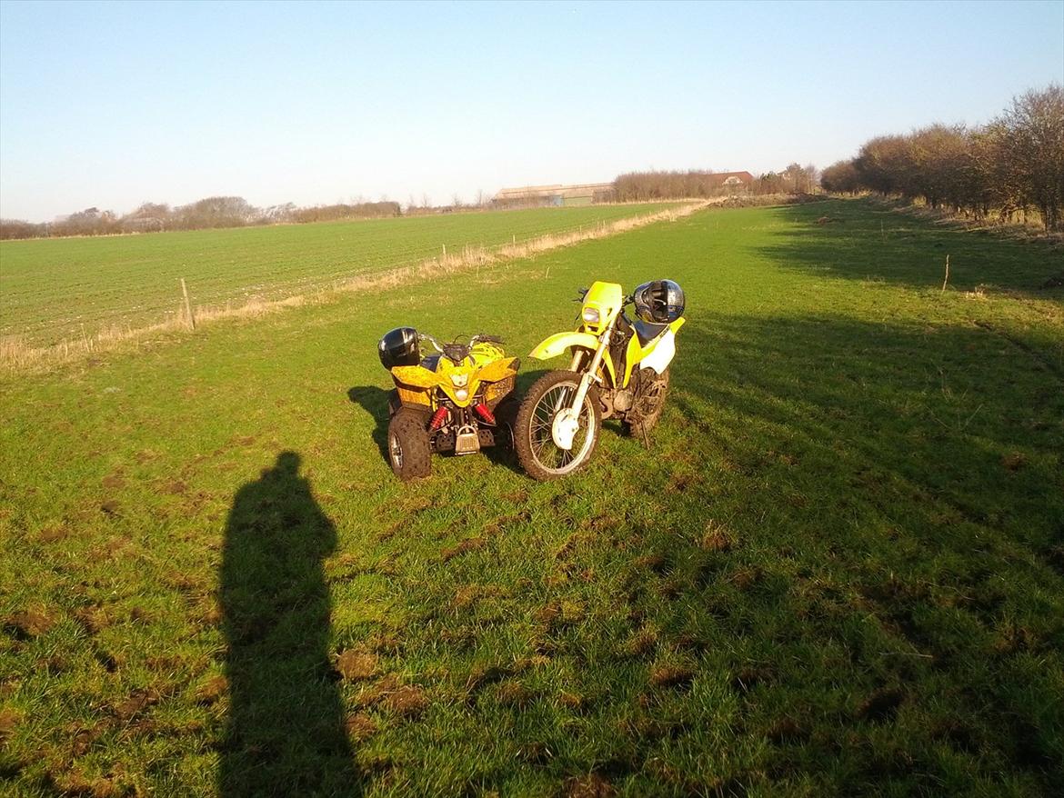 Suzuki RMX billede 9