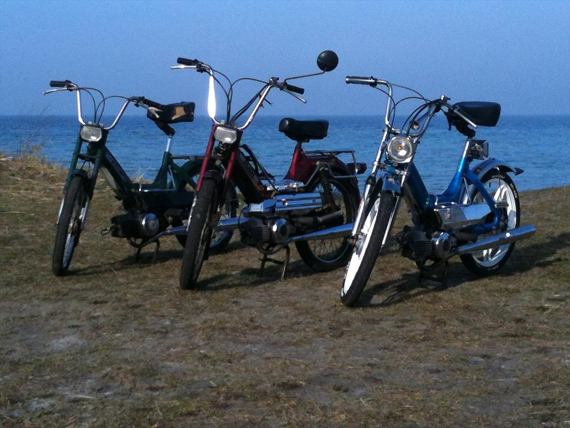 Puch Maxi k billede 6