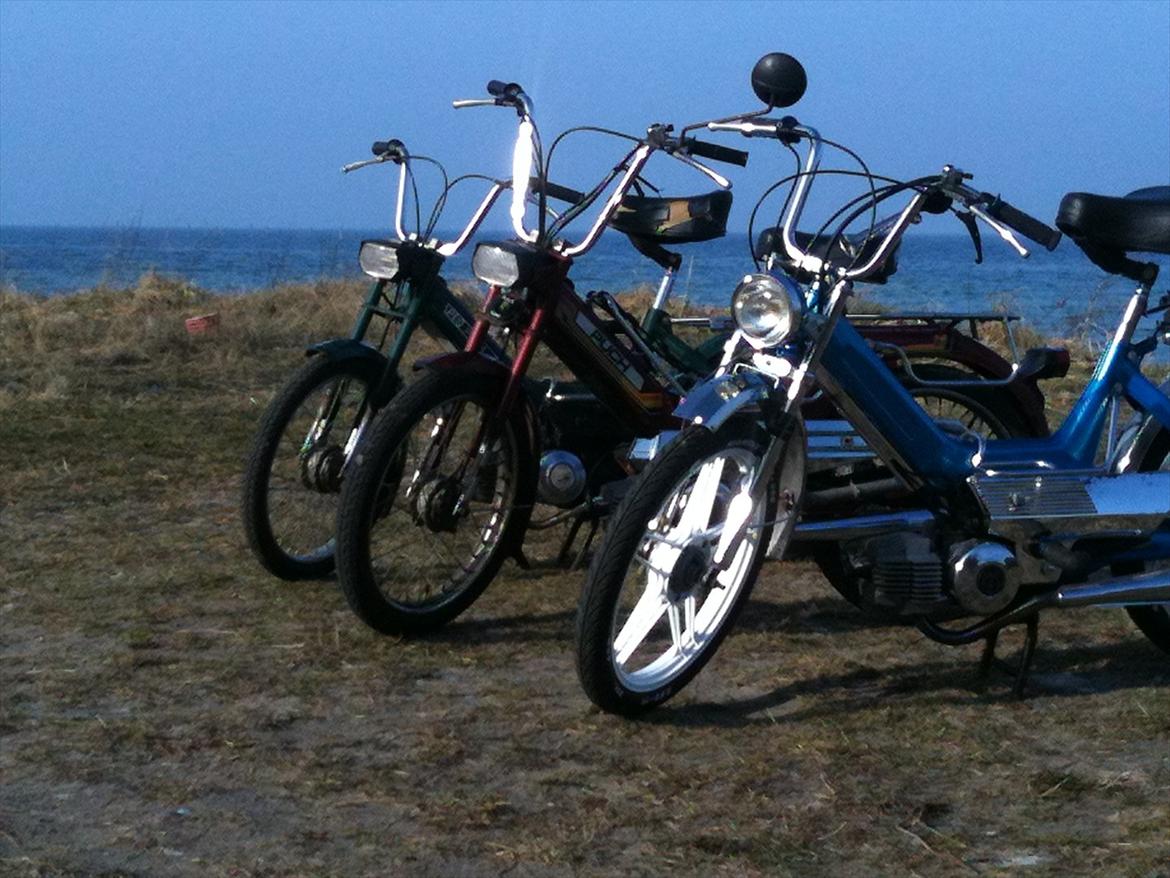 Puch Maxi k billede 7
