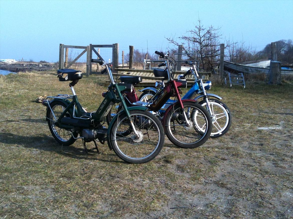 Puch Maxi k billede 8