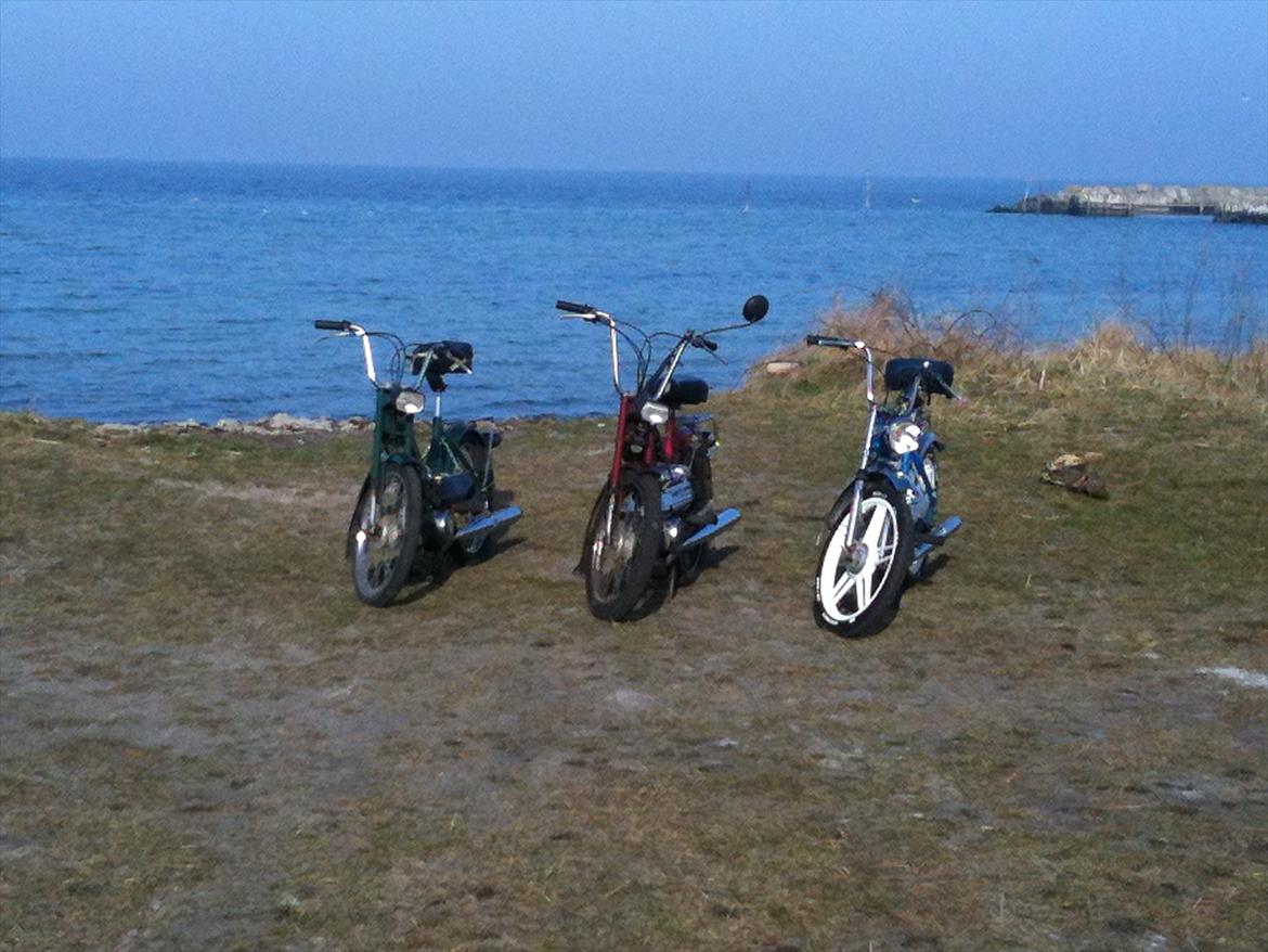 Puch Maxi k billede 9