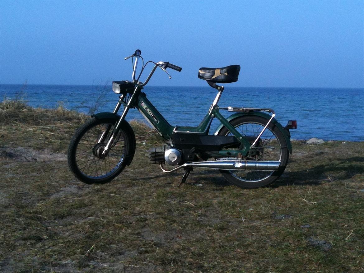 Puch Maxi k billede 11