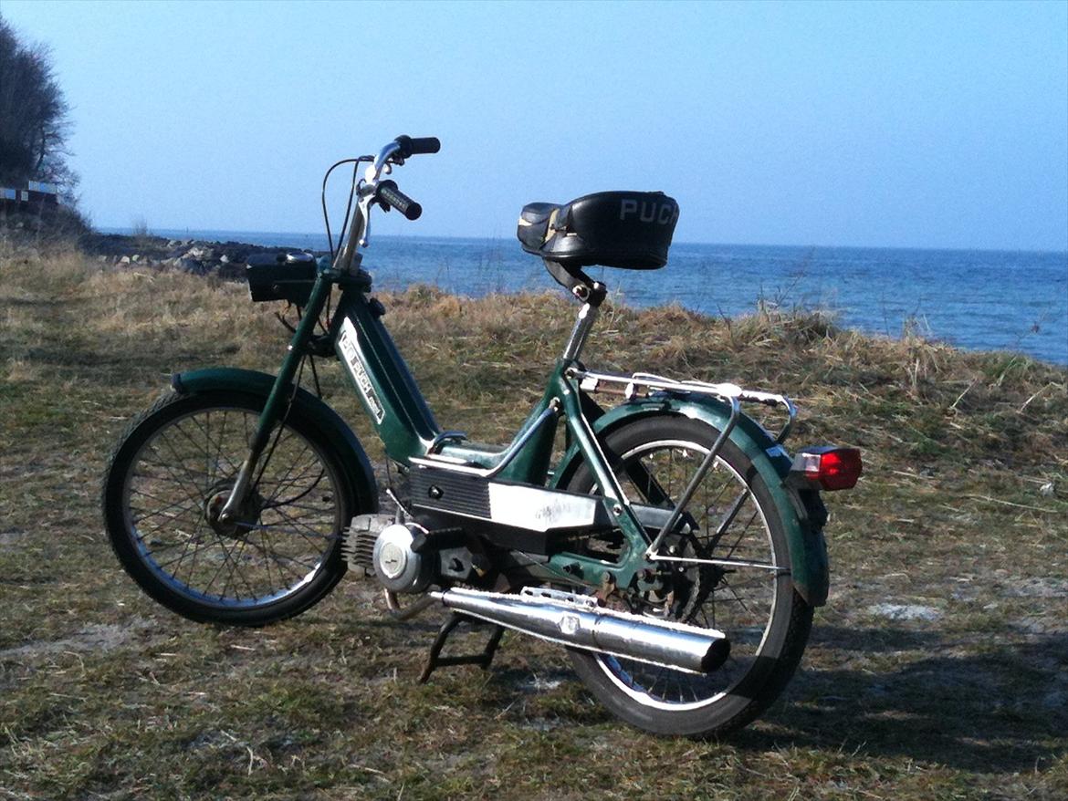 Puch Maxi k billede 12