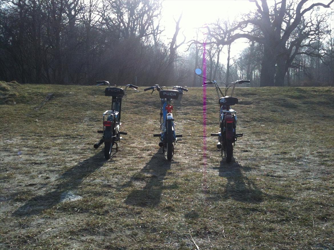 Puch Maxi k billede 14