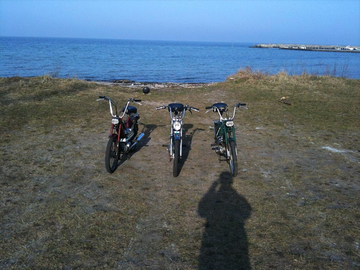 Puch Maxi k billede 15