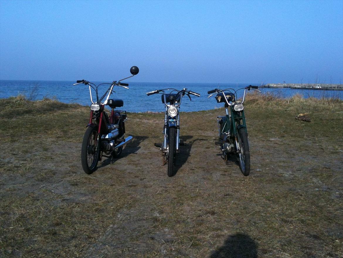 Puch Maxi k billede 16